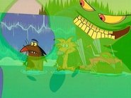 Pond Scum
