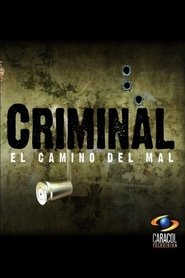 Criminal el Vengador poster