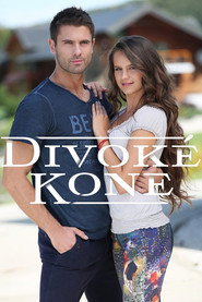 Divoké kone постер