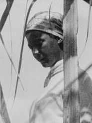 Venceremos Brigade (Newsreel)