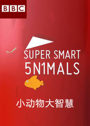 Super Smart Animals poster