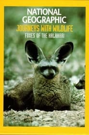 Poster Foxes of the Kalahari