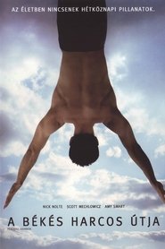 A békés harcos útja (2006)