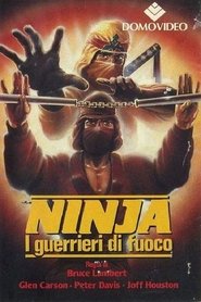 Ninja: I guerrieri di fuoco) Ninja: I guerrieri di fuoco (1987)