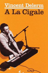 Vincent Delerm à la Cigale