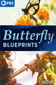 Butterfly Blueprints (2022) Movie Download & Watch Online WEBRip 720P & 1080p