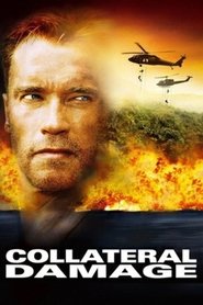 Poster van Collateral Damage