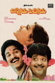 Chinnodu Peddodu
