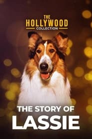 Poster The Story of Lassie