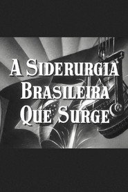 A Siderurgia Brasileira que Surge