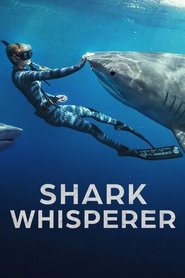 Poster Shark Whisperer 2025