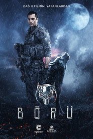 Boru постер