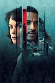 The Woman in the Wall poster