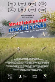 Medzi doľinami, medzi vŕški. Po stopách budúceho zvuku Slovenska.