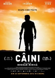 Poster Câini