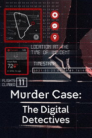 Murder Case: The Digital Detectives постер
