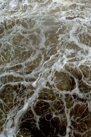 Poster Hydroelectric Dam 2016