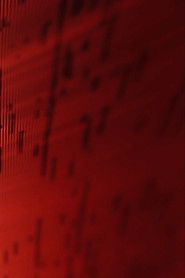 Fieldnotes From A Mine