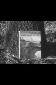 Poster Into the Woods with Mark 1970