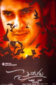 Sainikudu (2006)