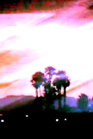 Poster Florida Ghost 2021