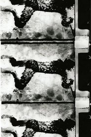 Poster Re: Entry 1990