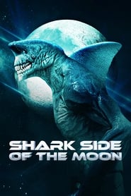 Poster Shark Side of the Moon