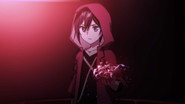 The Red Notebook