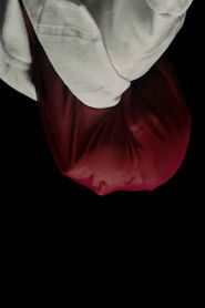 It Is Not Spring, Until All Flowers Blossom (2023)