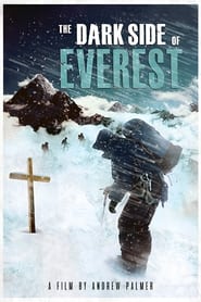 Poster The Dark Side of Everest