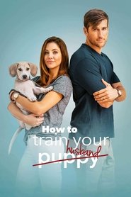 How to Train Your Husband