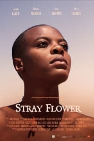 Stray Flower