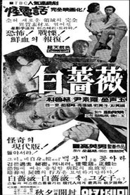 Poster 백장미