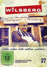 Wilsberg постер