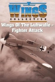 Wings of the Luftwaffe (1992)