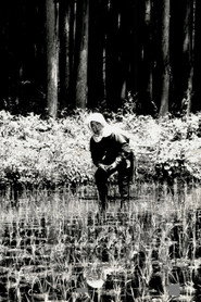 The Japanese Part 3: Farm Song