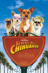 Le Chihuahua de Beverly Hills - Saga en streaming