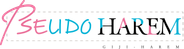 Pseudo Harem Logo