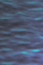 Poster The Pacific Ocean 1971