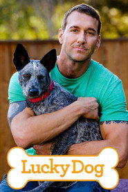 Lucky Dog постер