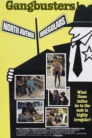 The North Avenue Irregulars poster