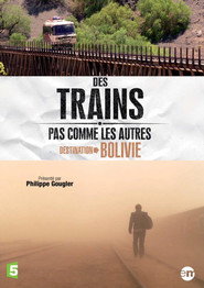 Amazing Train Journeys постер