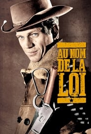 Au nom de la loi serie streaming