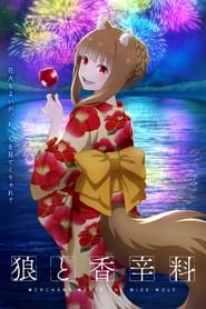 Full Cast of Spice and Wolf: Merchant Meets the Wise Wolf