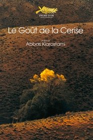 Film Le goût de la cerise en streaming