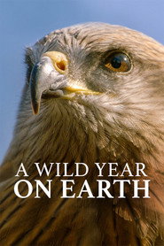 A Wild Year on Earth постер