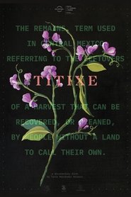 Poster Titixe 2018