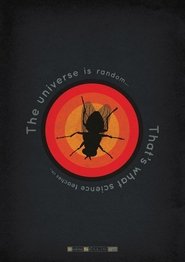 Fly
