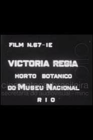 Victória Régia: Horto Botânico do Museu Nacional