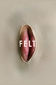 Poster Felt 2014